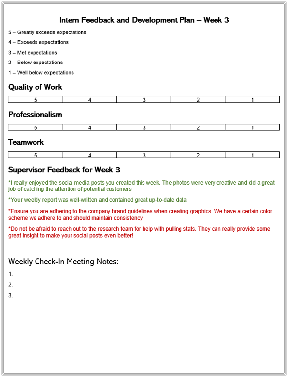 shot of intern feedback and development plan